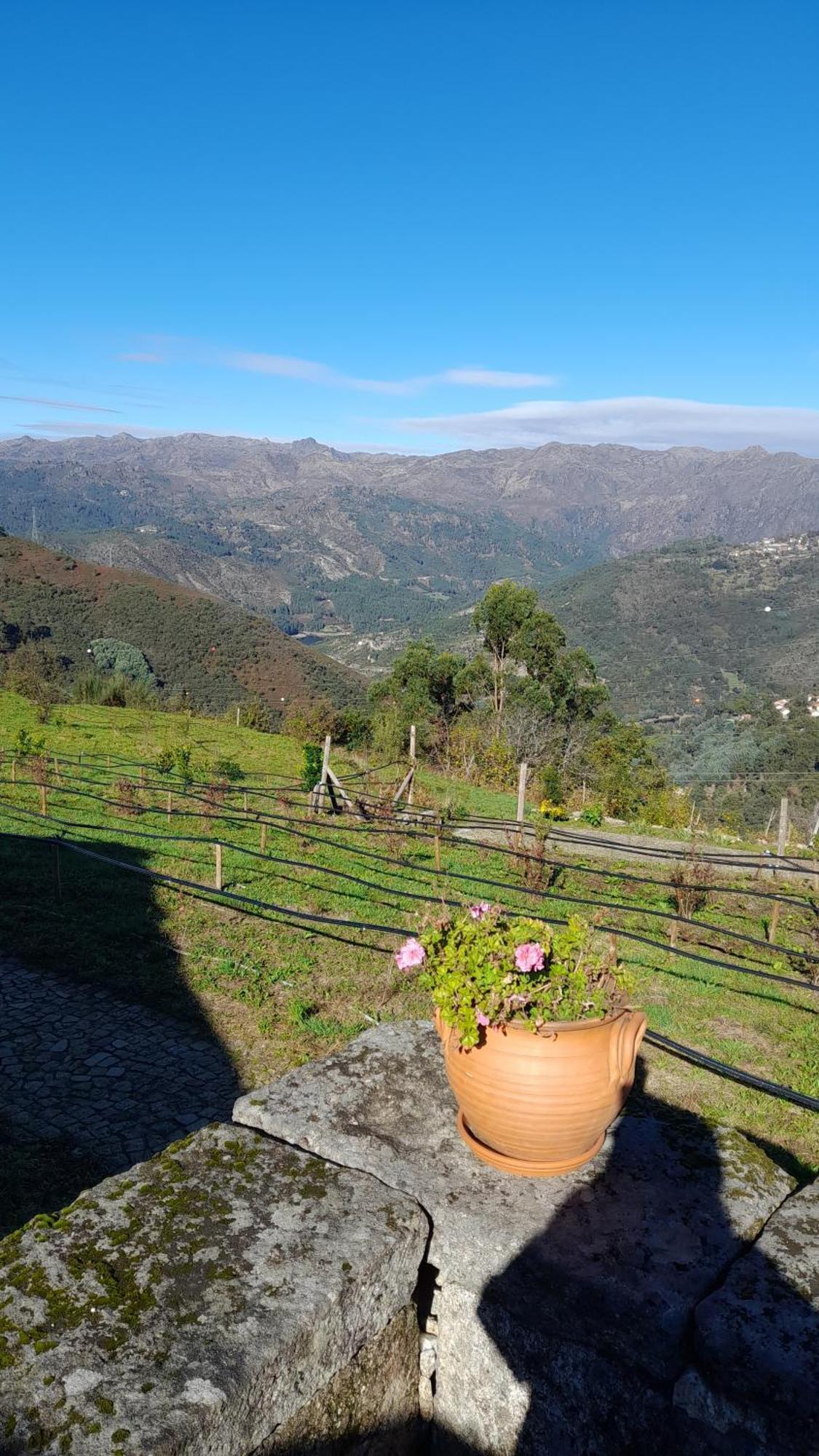Гостьовий будинок Quinta Da Riba Ma Santa Leocadia Екстер'єр фото